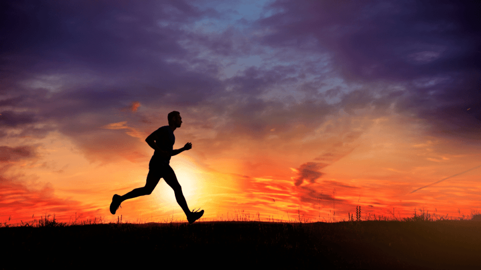 Sharon Fellner: Finding Purpose through Marathon Running for Charity